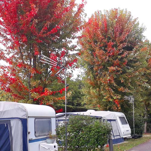 Caravanas bajo los grandes árboles en otoño en las Landas