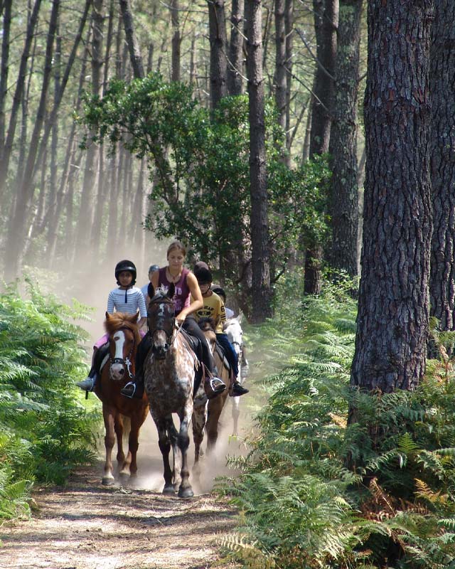 Campistas a caballo en un bosque de las Landas