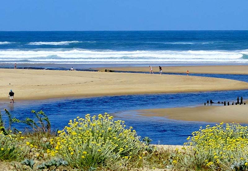 Desembocadura de la corriente de Huchet en las Landas cerca del camping cerca de Hossegor