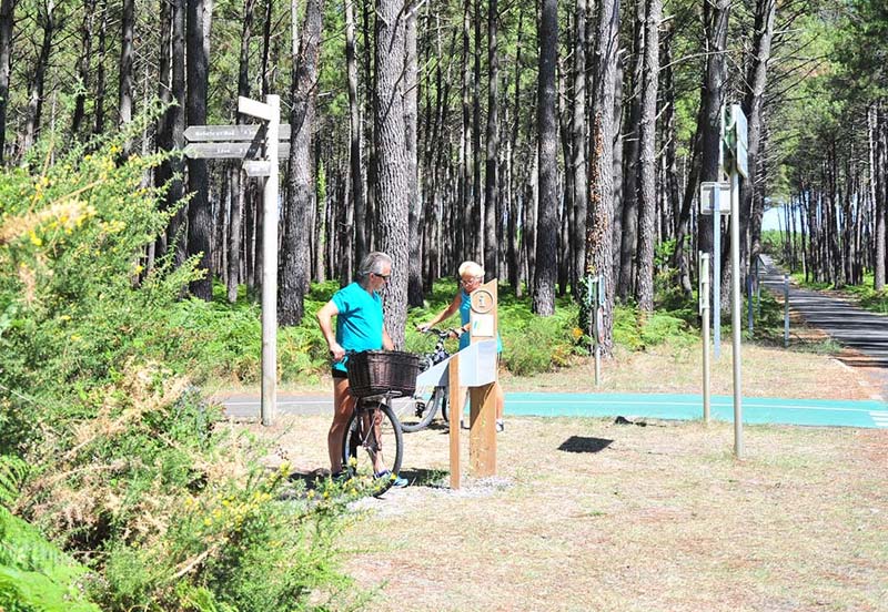 Couple de cyclistes dans une forêt dans les Landes proche du camping à Messanges